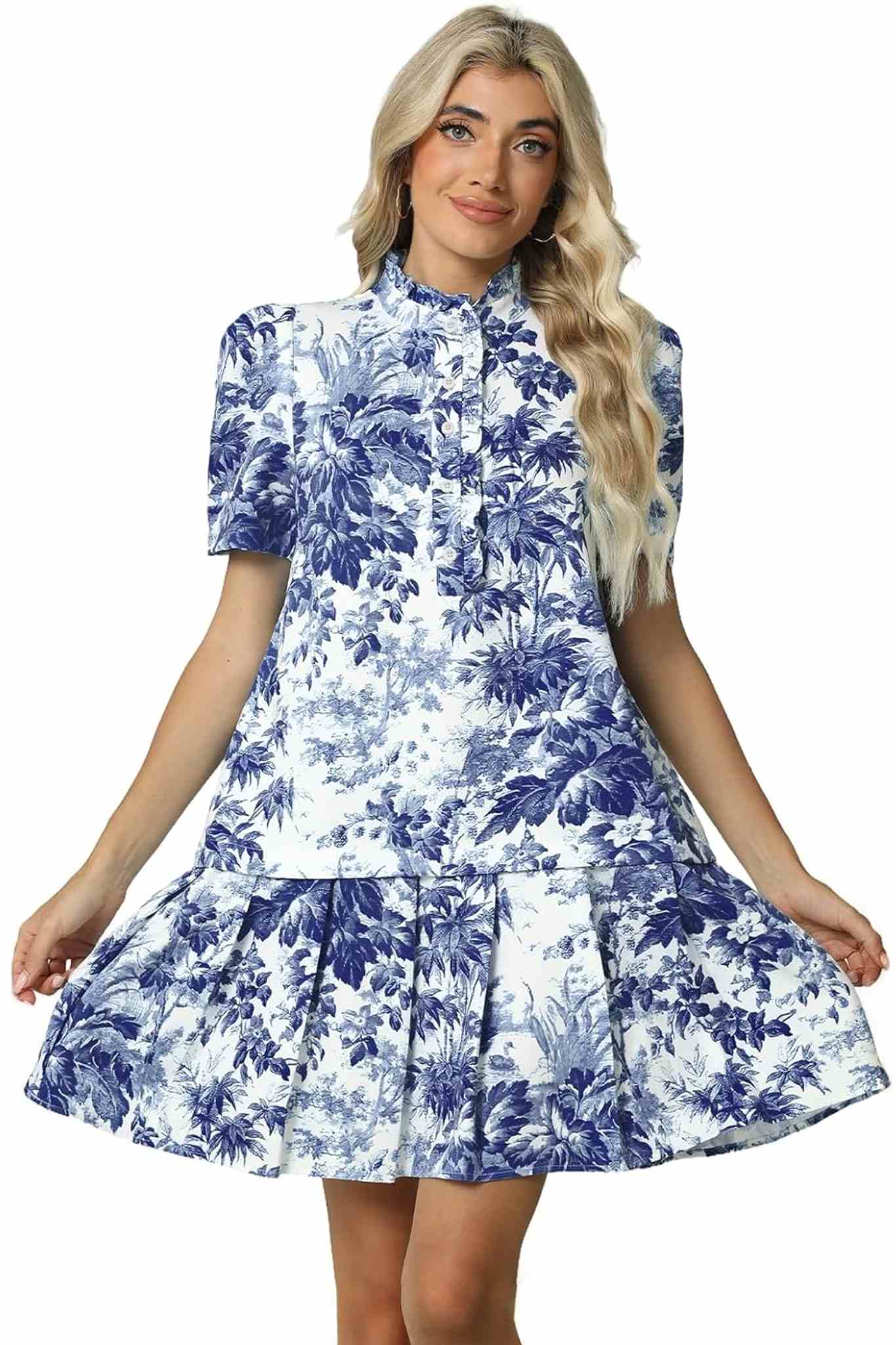 Ezapine Vintage Elegance Floral Puff Sleeve Drop Waist Pleated Dress