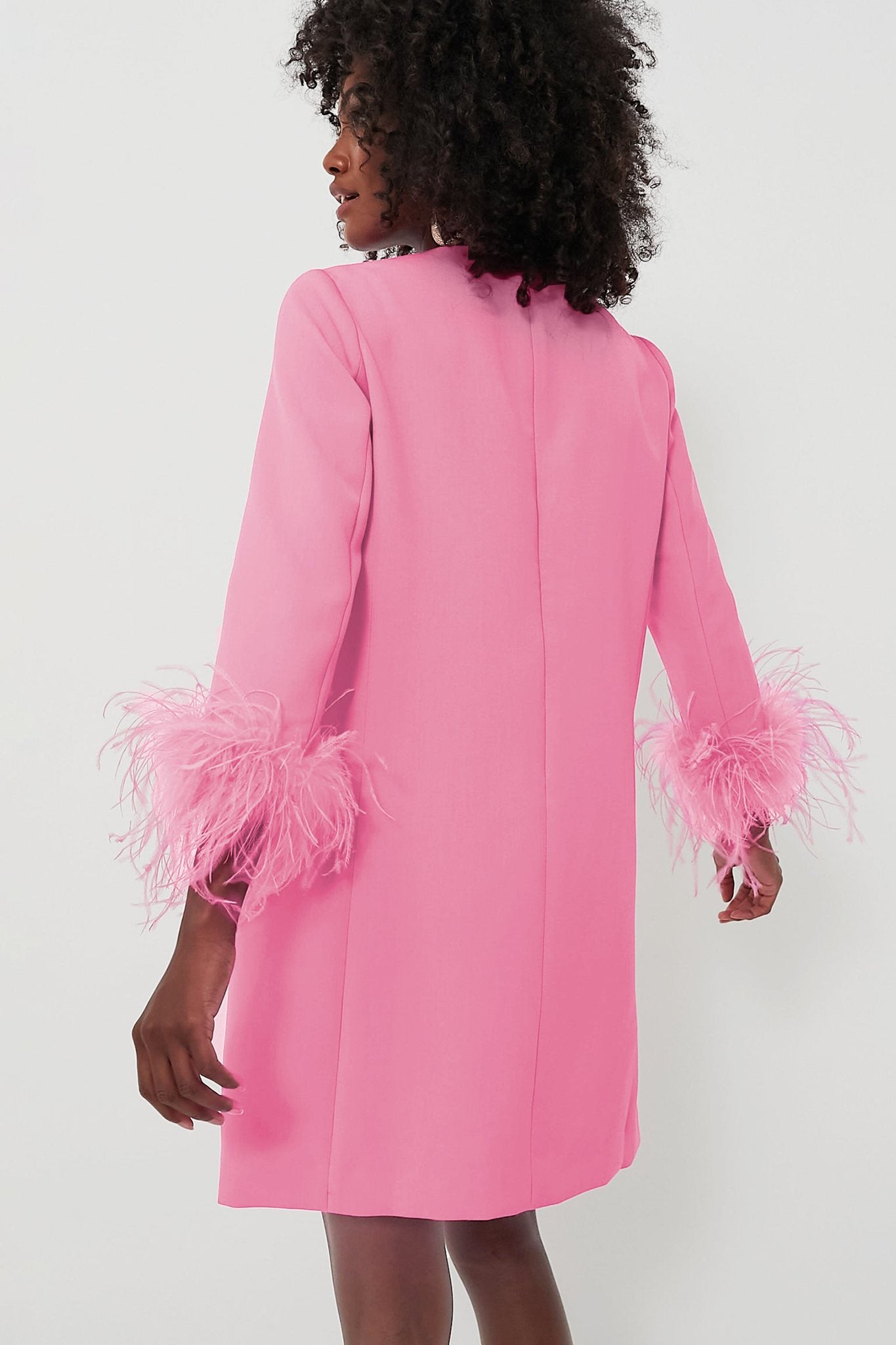 Ezabutus Pink Feather Mod Mary Dress