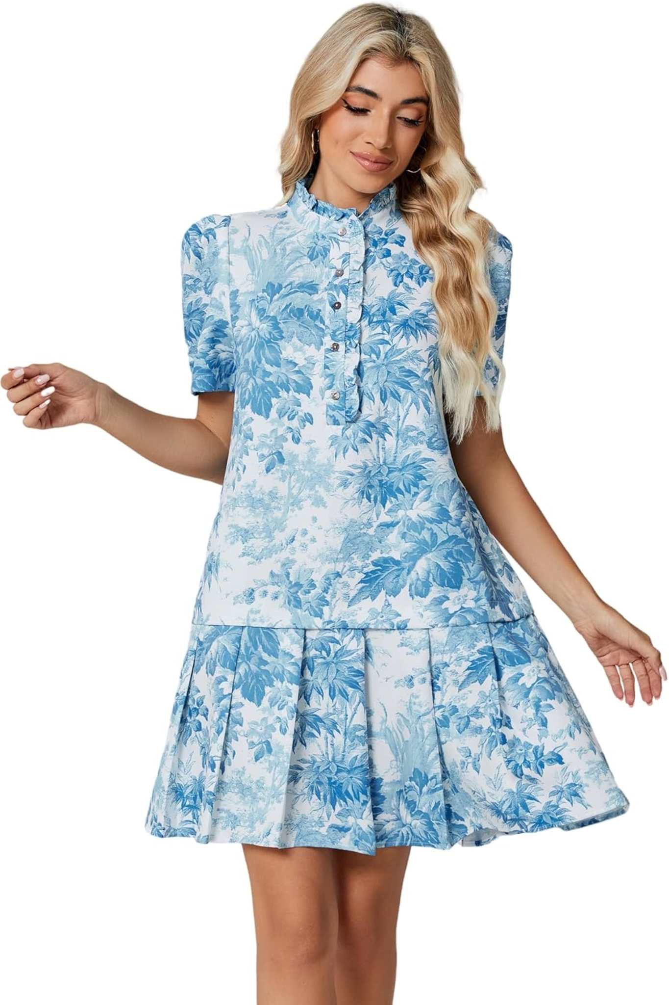 Ezapine Vintage Elegance Floral Puff Sleeve Drop Waist Pleated Dress