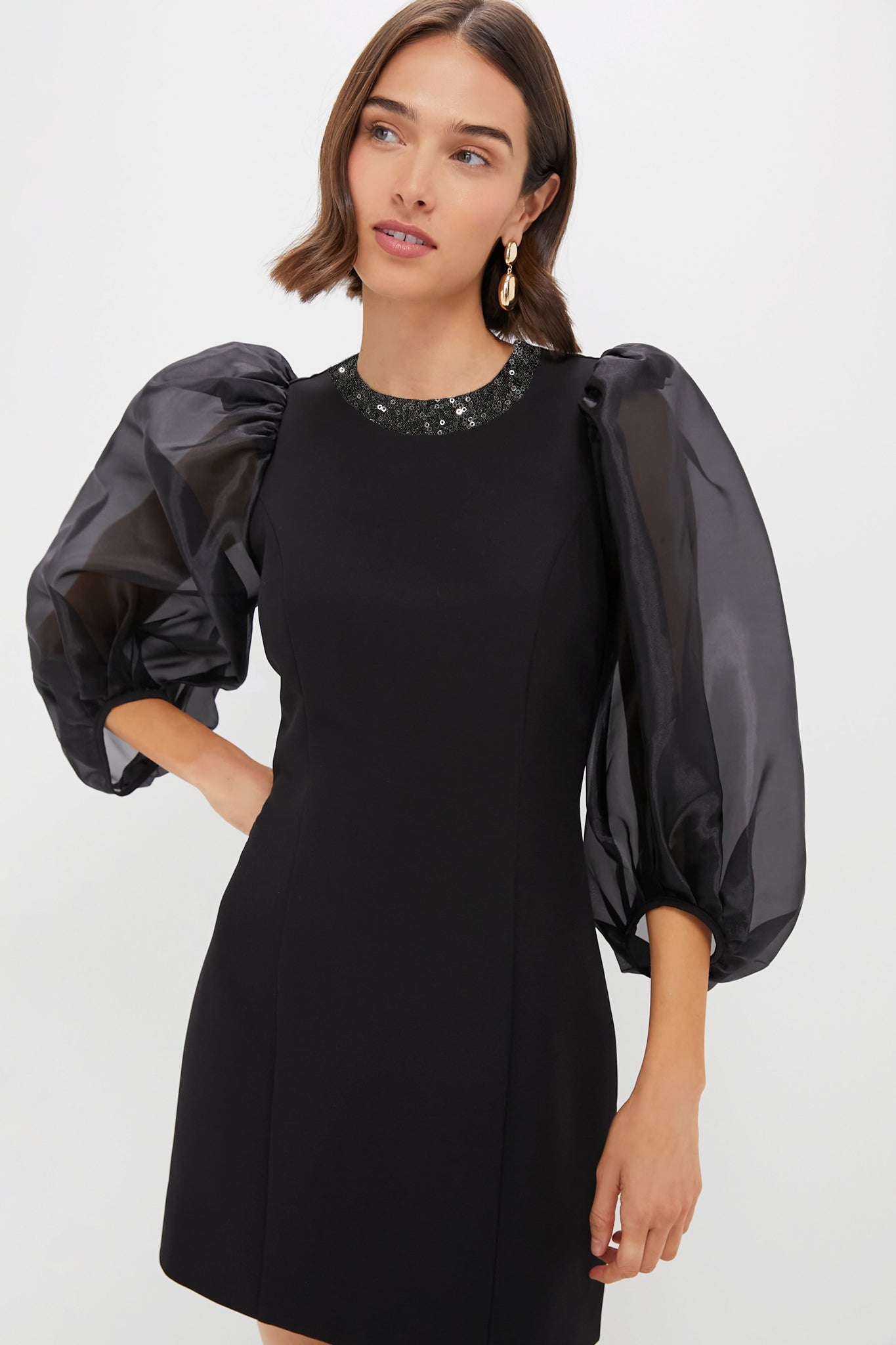 Sheer Black Organza Sleeve Blouson Mini Dress