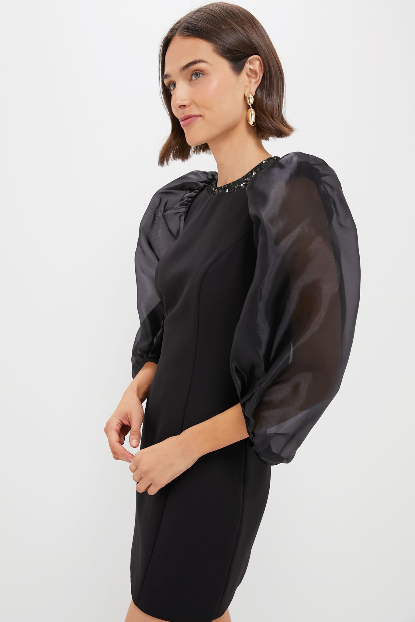 Sheer Black Organza Sleeve Blouson Mini Dress