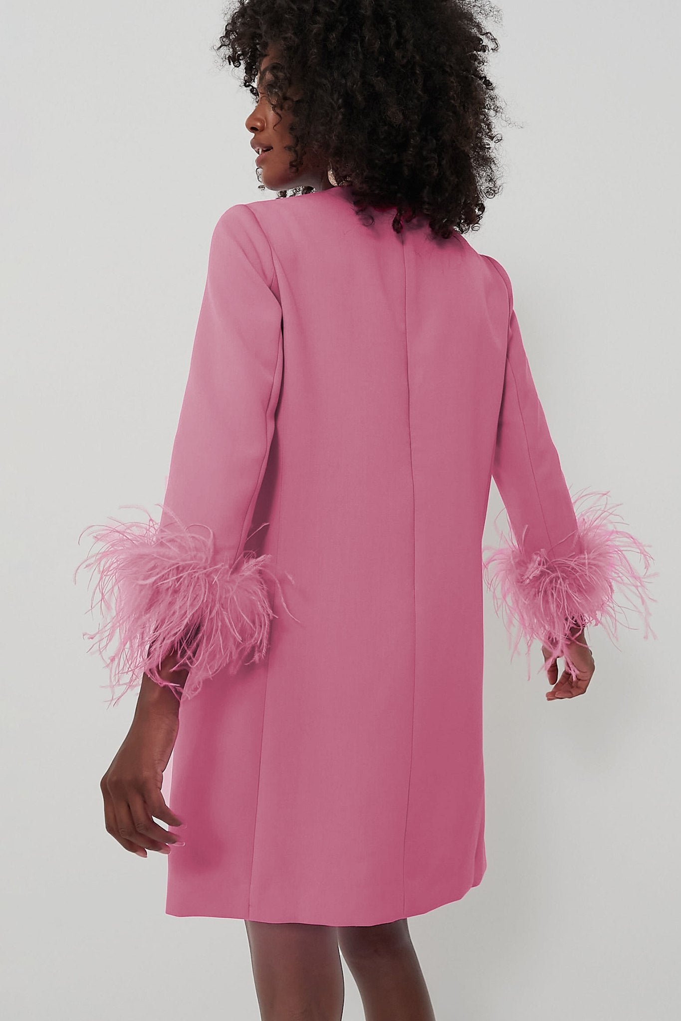 Pink Feather Mod Mary Dress