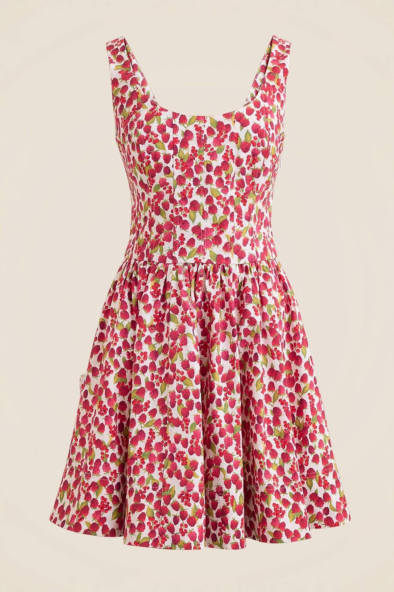 Ezabutus Raspberry Print Fit And Flare Mini Dress
